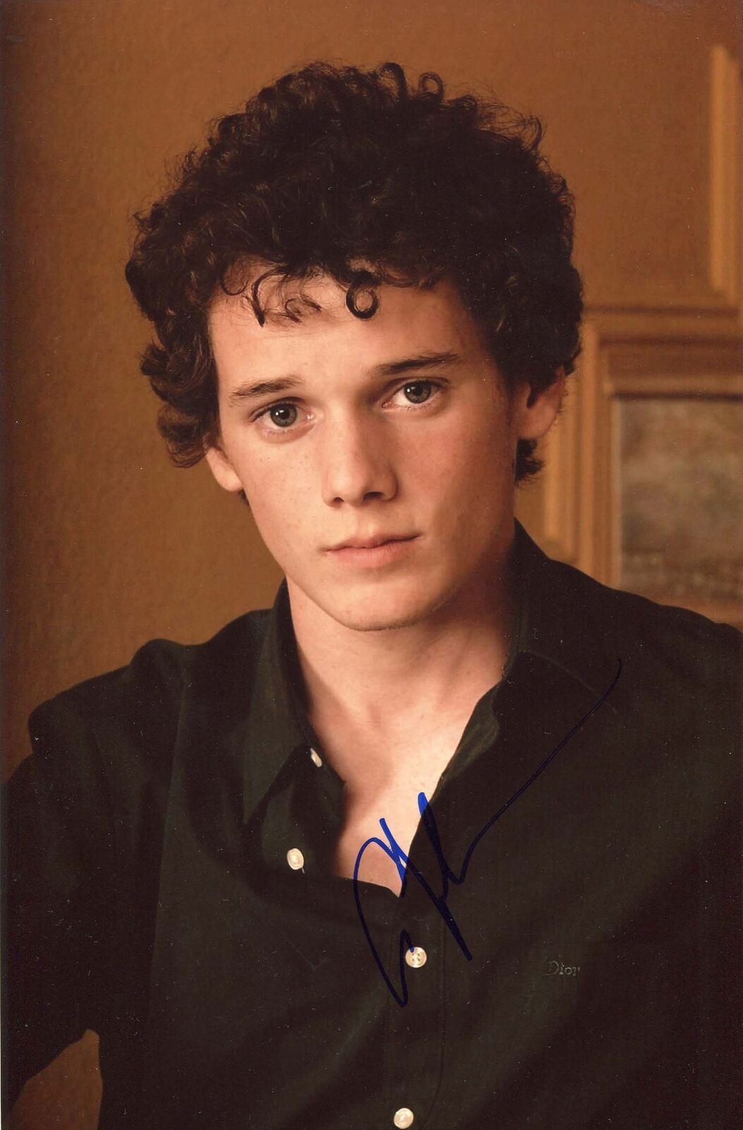 Anton Yelchin